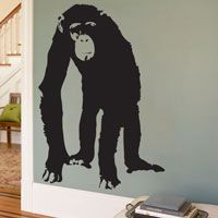 Chimp - Primate - Animals - Wall Decal